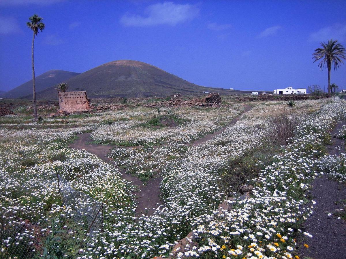 Castillo Lanzarote Villa Winni - Luxury Villa - Pet Friendly With Heated Pool La Asomada  Exterior photo