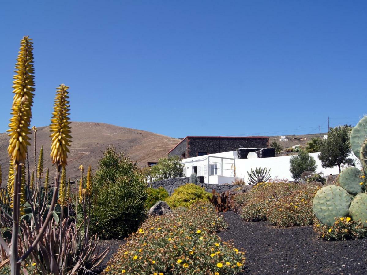 Castillo Lanzarote Villa Winni - Luxury Villa - Pet Friendly With Heated Pool La Asomada  Exterior photo