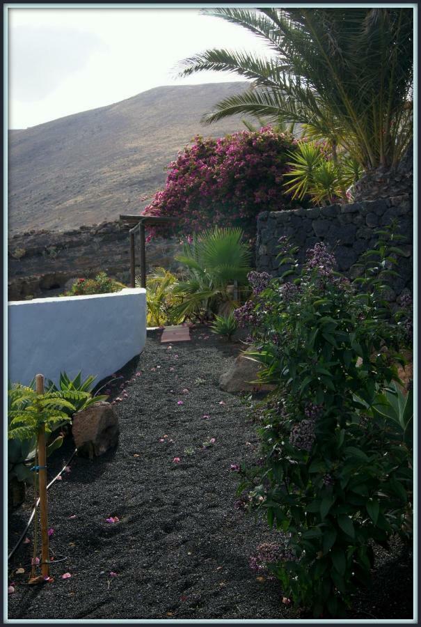Castillo Lanzarote Villa Winni - Luxury Villa - Pet Friendly With Heated Pool La Asomada  Exterior photo